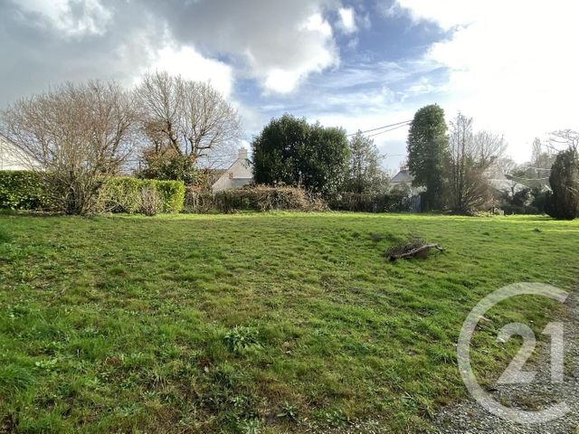 terrain - SARZEAU - 56