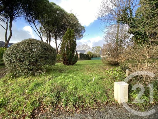 terrain à vendre - 611.0 m2 - SARZEAU - 56 - BRETAGNE - Century 21 Sarz'Eau Immobilier