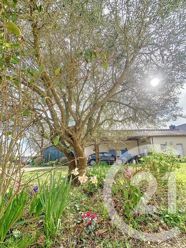 Afficher la photo en grand maison à vendre - 5 pièces - 106.5 m2 - SARZEAU - 56 - BRETAGNE - Century 21 Sarz'Eau Immobilier