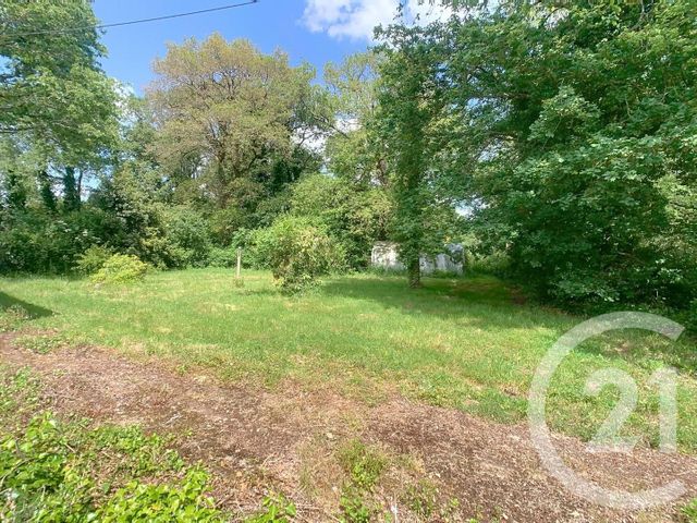 maison à vendre - 8 pièces - 136.0 m2 - SARZEAU - 56 - BRETAGNE - Century 21 Sarz'Eau Immobilier