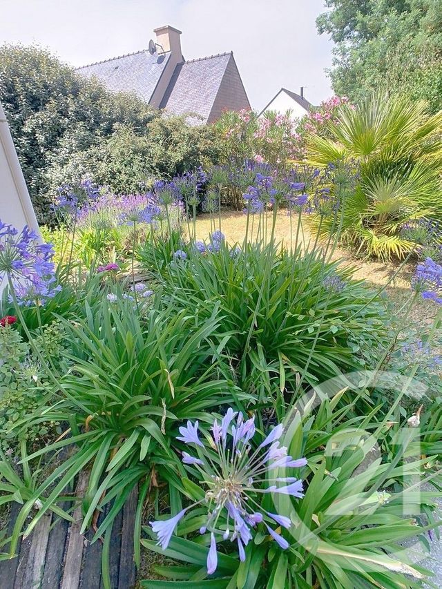 maison à vendre - 4 pièces - 84.12 m2 - SARZEAU - 56 - BRETAGNE - Century 21 Sarz'Eau Immobilier