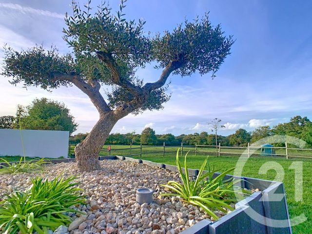 maison à vendre - 5 pièces - 138.87 m2 - LE TOUR DU PARC - 56 - BRETAGNE - Century 21 Sarz'Eau Immobilier