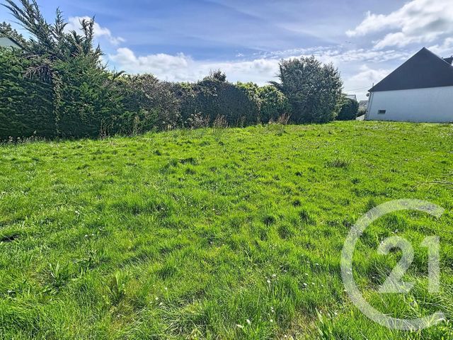 terrain à vendre - 586.0 m2 - LE TOUR DU PARC - 56 - BRETAGNE - Century 21 Sarz'Eau Immobilier